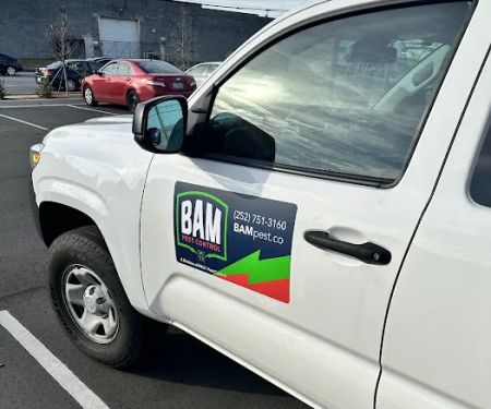 Bam Pest Control