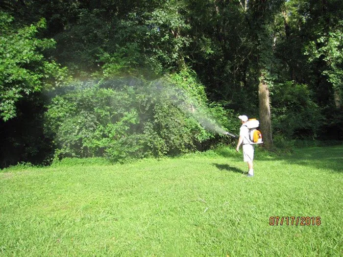 InvisaBarrier Mosquito Control Picture 4