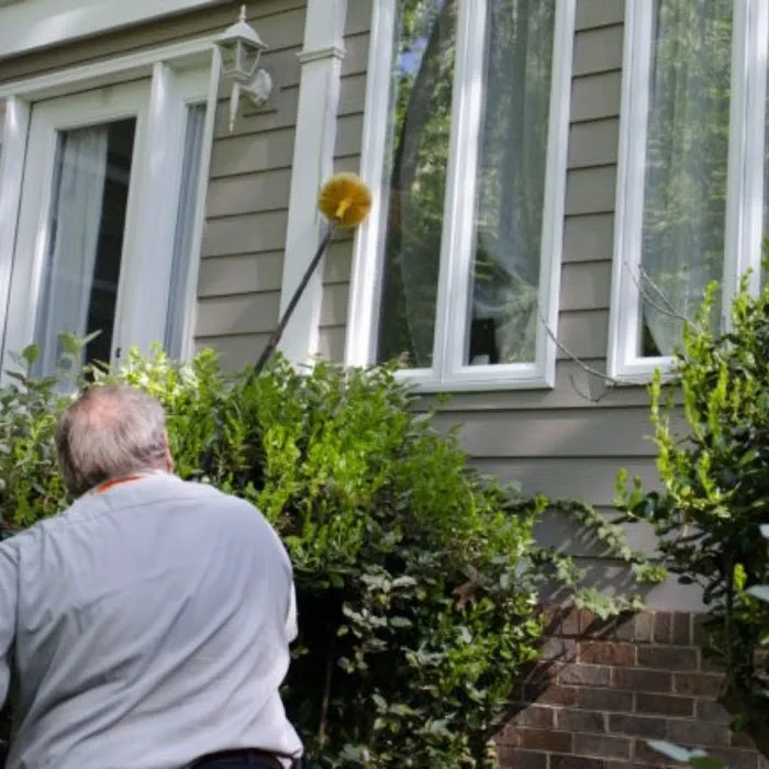 Clegg’s Termite & Pest Control - Smithfield Picture 2