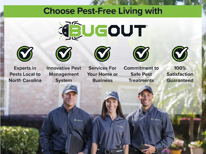 Bug Out Picture 4