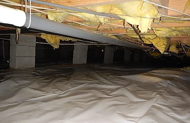 Quality Termite & Pest Control Picture 6