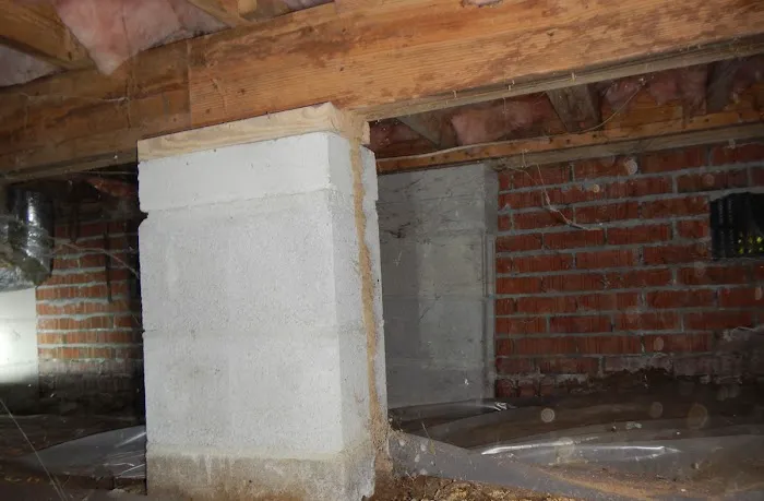 Quality Termite & Pest Control Picture 1