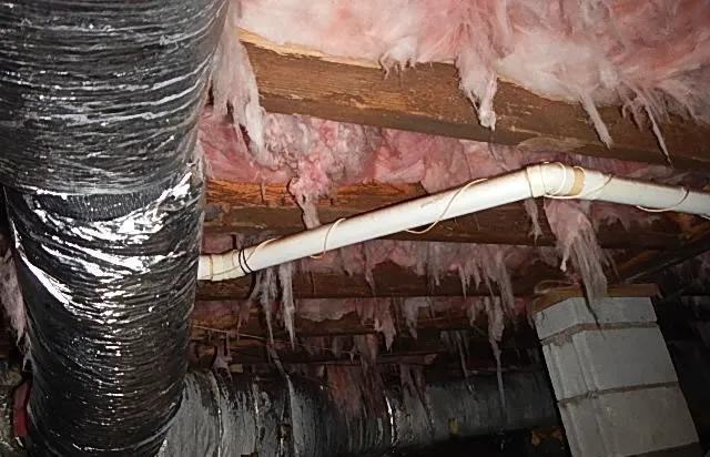 Quality Termite & Pest Control Picture 3