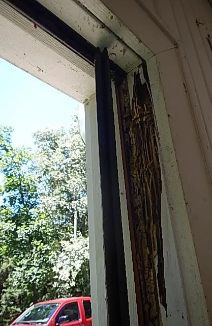 Quality Termite & Pest Control Picture 8