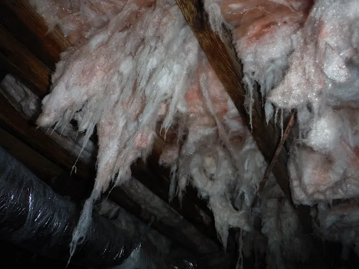 Marks Termite & Pest Control Picture 9