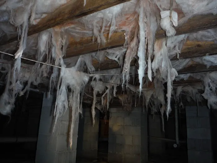 Marks Termite & Pest Control Picture 10