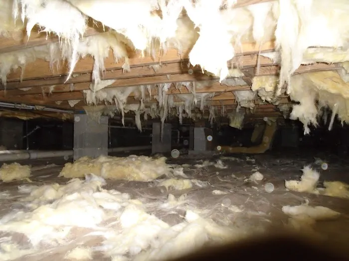 Marks Termite & Pest Control Picture 6