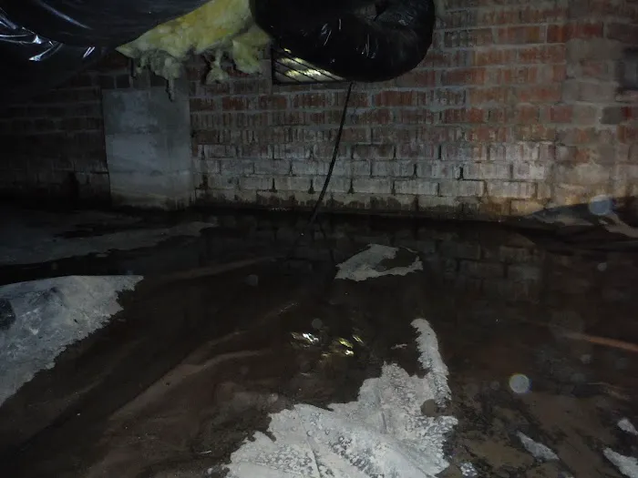 Marks Termite & Pest Control Picture 8
