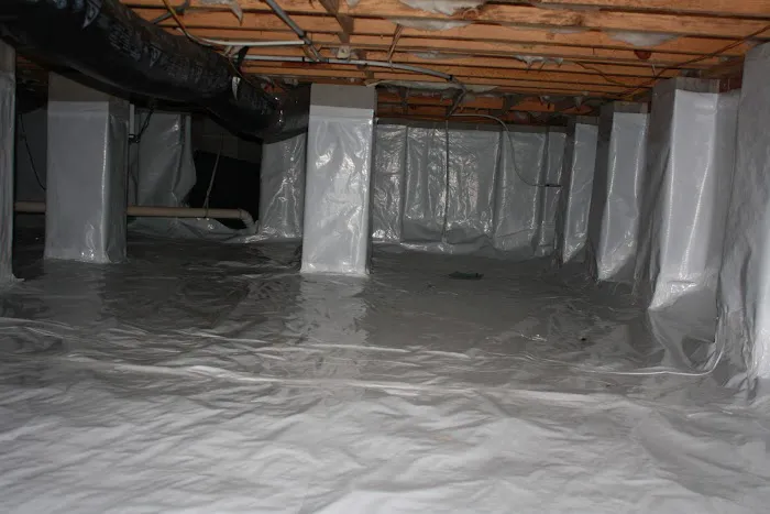 Marks Termite & Pest Control Picture 3