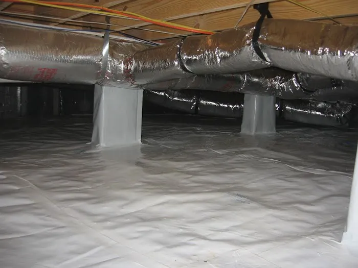 Marks Termite & Pest Control Picture 2