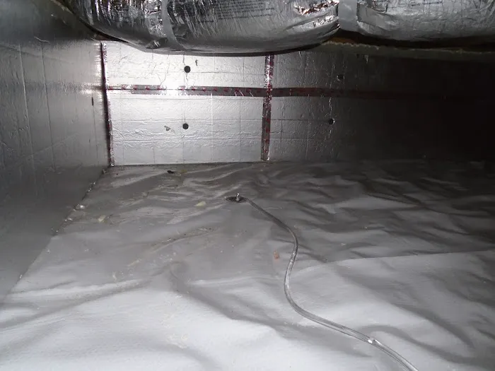 Marks Termite & Pest Control Picture 4