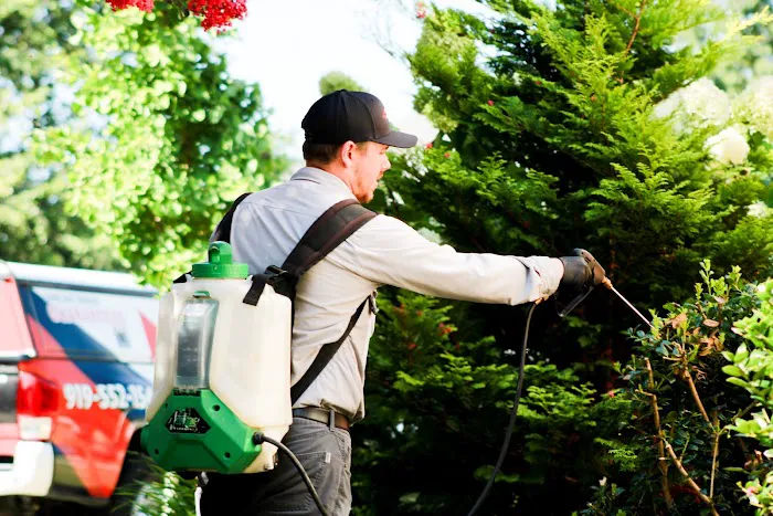Triangle Pest Control Picture 6