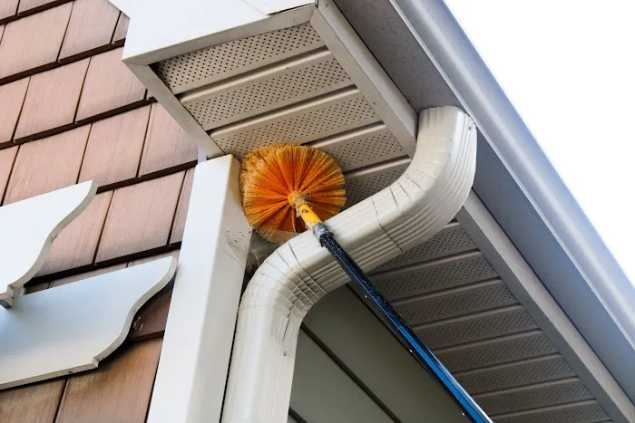 Triangle Pest Control Picture 9