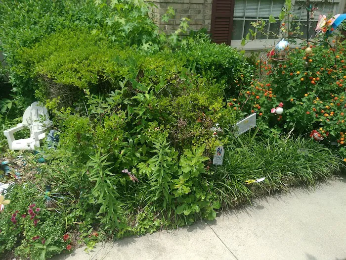 Eco Man Pest Solutions Picture 3