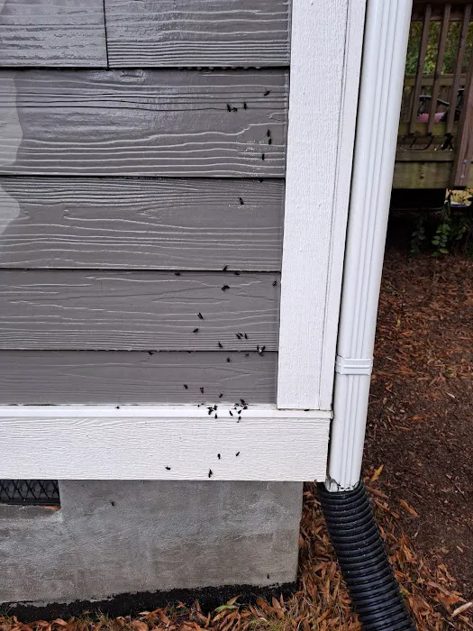 Eco Man Pest Solutions Picture 1