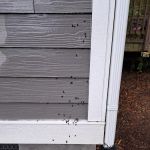 Eco Man Pest Solutions
