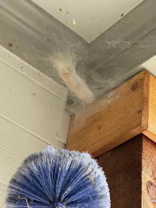 Bulwark Exterminating Picture 6