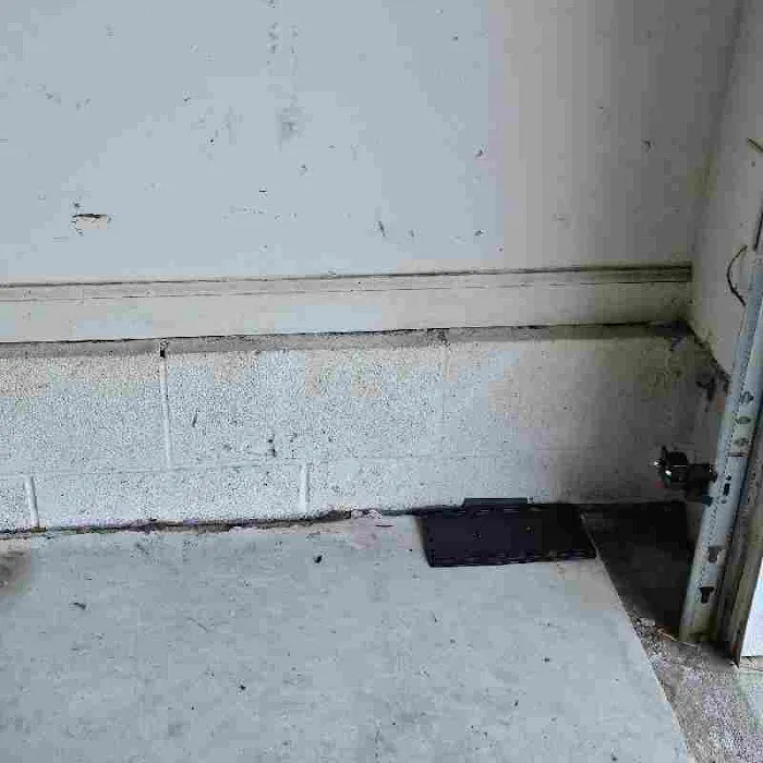 Bulwark Exterminating Picture 7