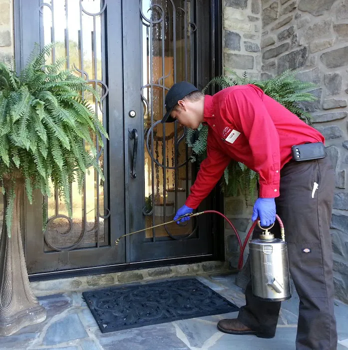 Go-Forth Pest Control Picture 9