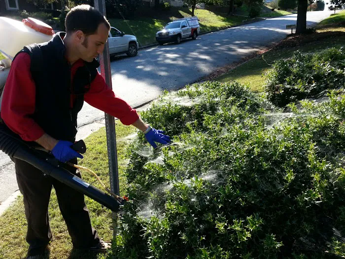 Go-Forth Pest Control Picture 4