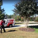 Go-Forth Pest Control