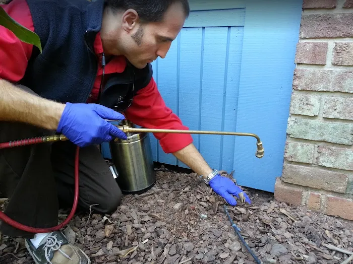 Go-Forth Pest Control Picture 8