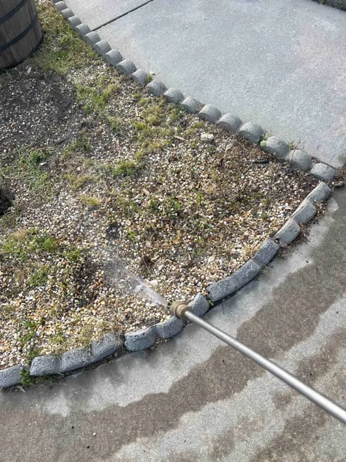 Hawx Pest Control Picture 8