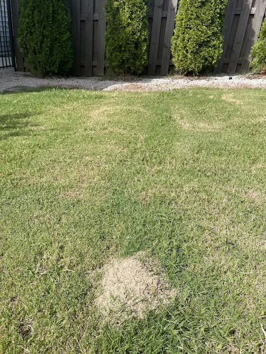 Hawx Pest Control Picture 6
