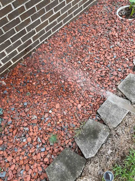 Hawx Pest Control Picture 3