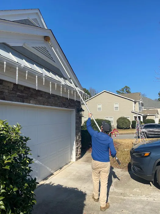Kumo Pest Control Picture 3