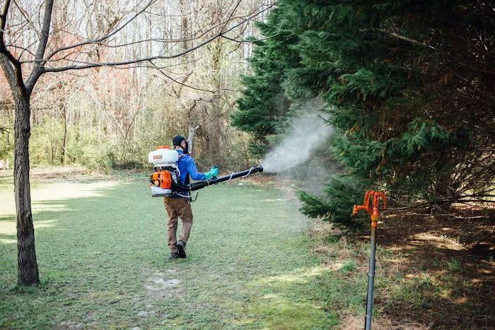 Kumo Pest Control Picture 4
