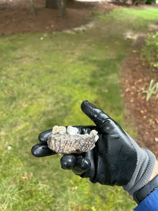 Kumo Pest Control Picture 9