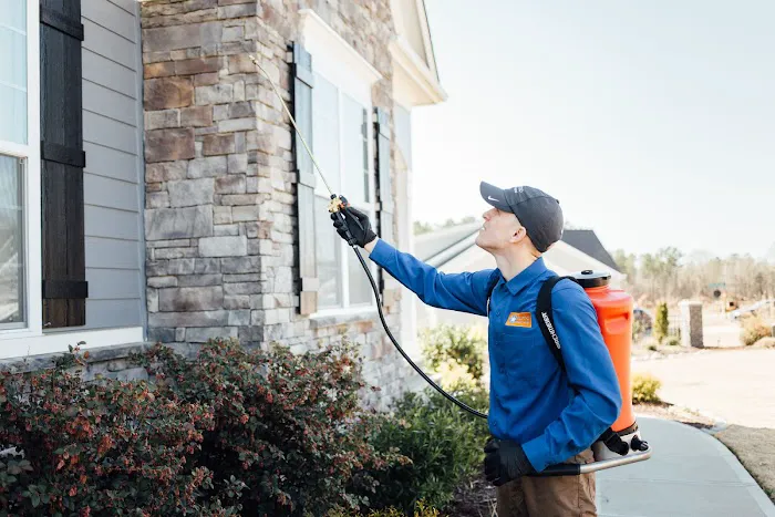 Kumo Pest Control Picture 6