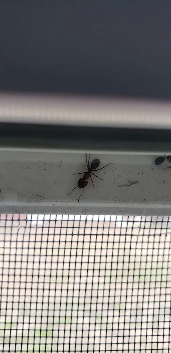 Neuse Termite & Pest Control Picture 3