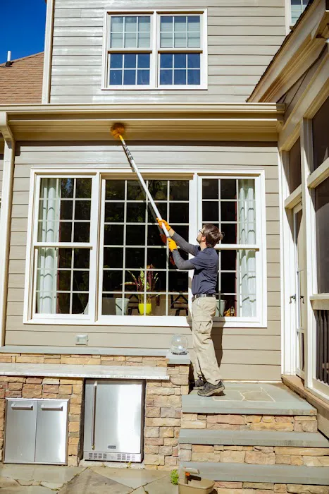 Pest & Termite Consultants Picture 4