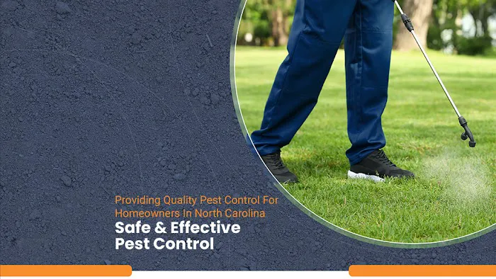Pest & Termite Consultants Picture 9