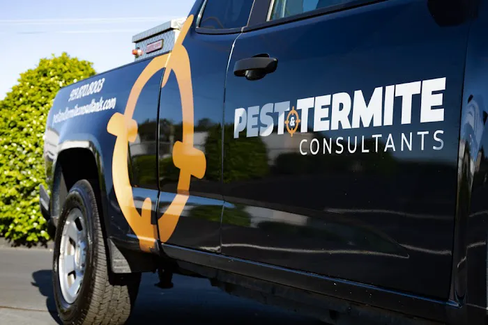 Pest & Termite Consultants Picture 6