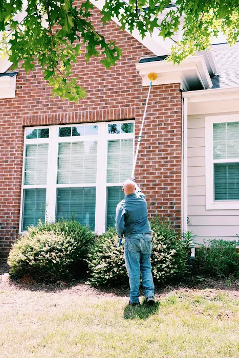 Rise Pest Management Picture 6