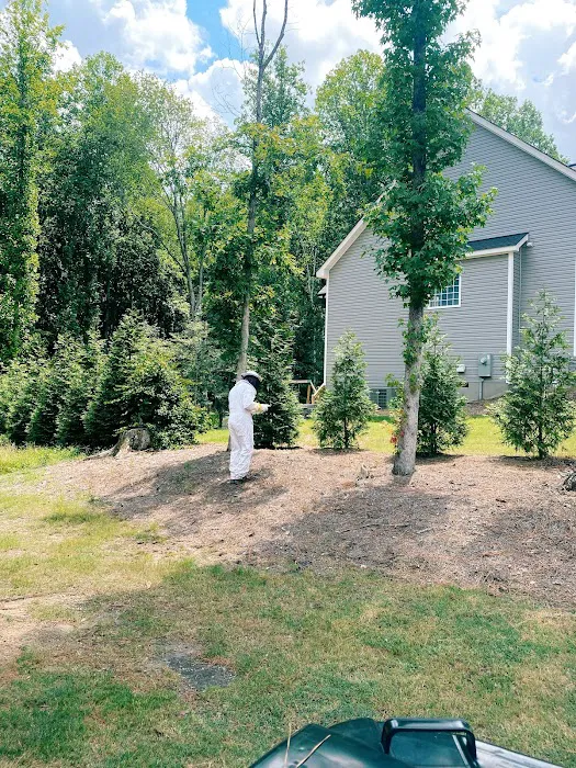 Rise Pest Management Picture 3