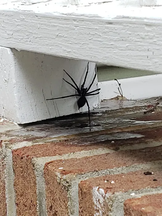 Sage Pest Control Picture 4