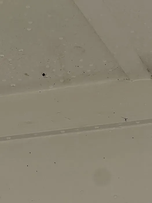 Sage Pest Control Picture 1