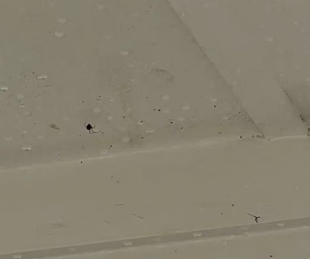 Sage Pest Control