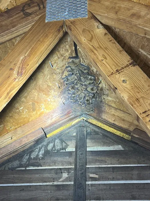 Freedom Wildlife Solutions & Pest Control Picture 3