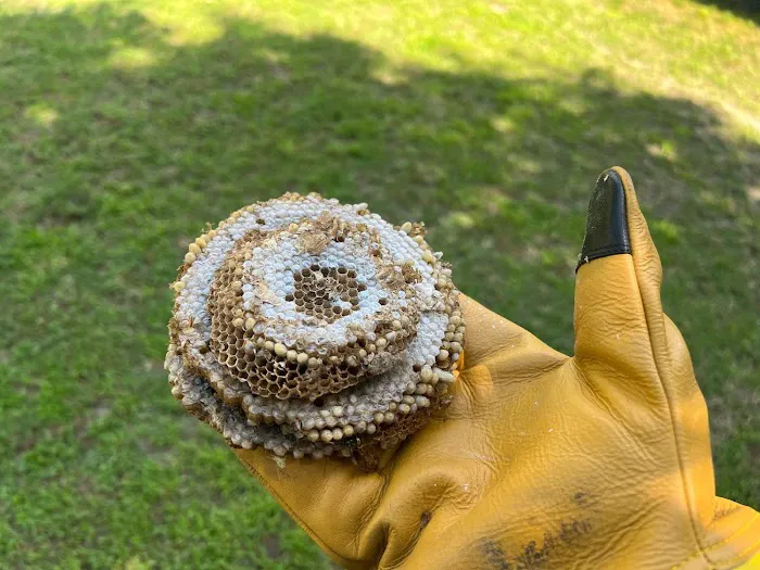 Freedom Wildlife Solutions & Pest Control Picture 6