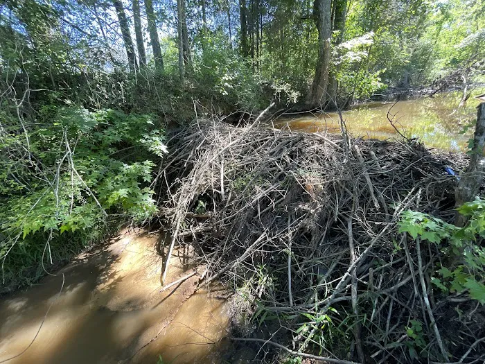 Freedom Wildlife Solutions & Pest Control Picture 9