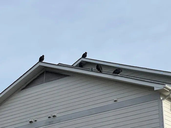 Freedom Wildlife Solutions & Pest Control Picture 10