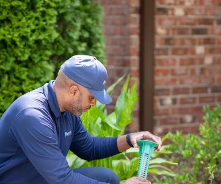 Rocket Pest Control