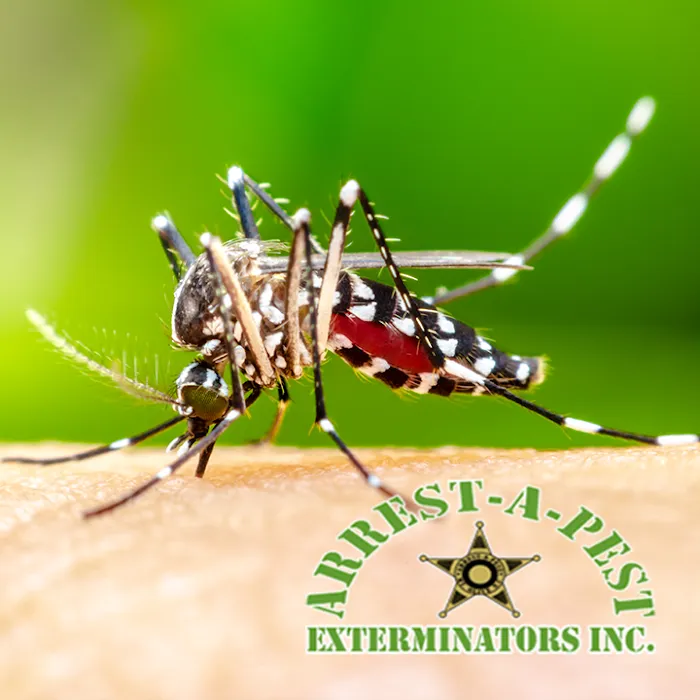Arrest-A-Pest Exterminators, Inc. Picture 7