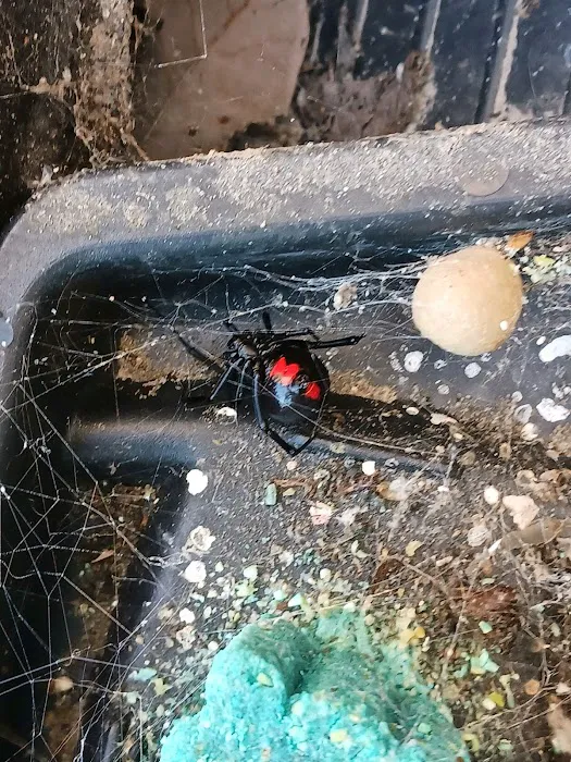 Arrest-A-Pest Exterminators, Inc. Picture 8