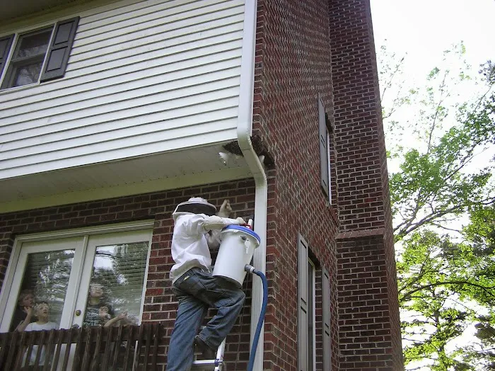 Bee Busters Picture 6